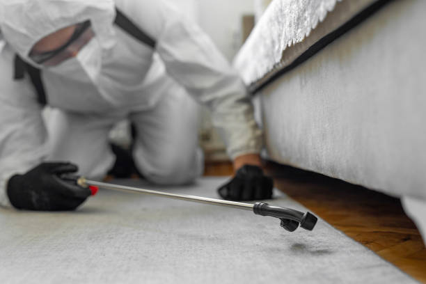 Professional Bed Bug Control technician working in Cedar County County, NE